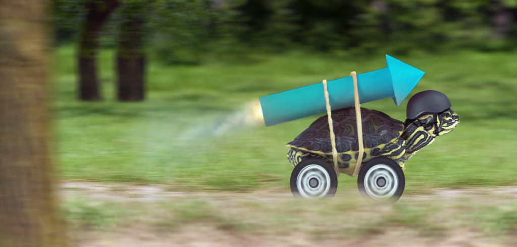 Agilität - Symbolbild Schildkröte mit Raketenantrieb